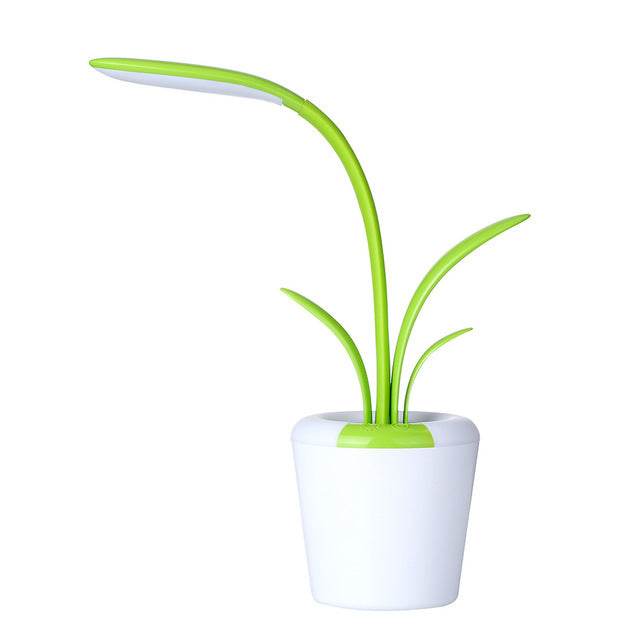 Clivia Table Lamp - Stuff Hunt