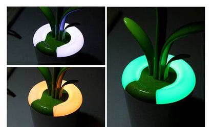 Clivia Table Lamp - Stuff Hunt