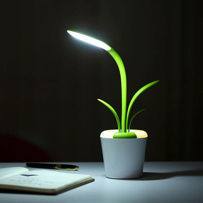 Clivia Table Lamp - Stuff Hunt