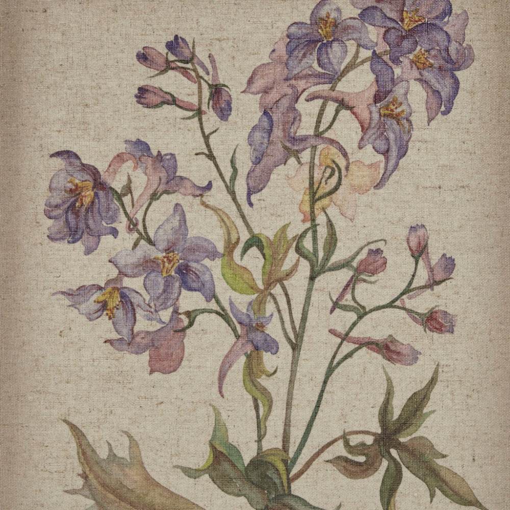 Floral Trio - Stuff Hunt