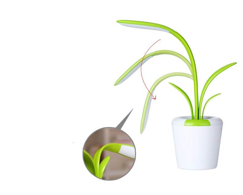 Clivia Table Lamp - Stuff Hunt