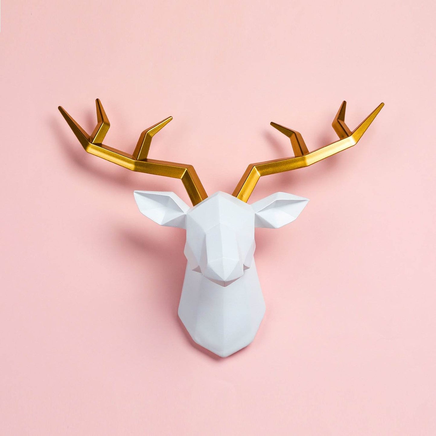 Elk Head - Stuff Hunt