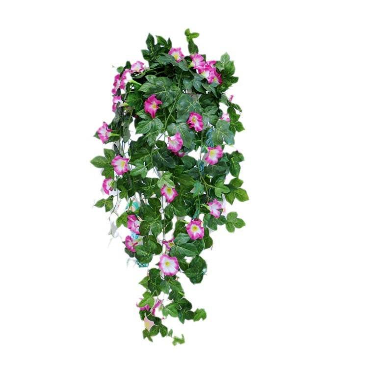 Morning Glory Simulation Plant - Stuff Hunt