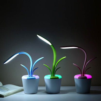 Clivia Table Lamp - Stuff Hunt
