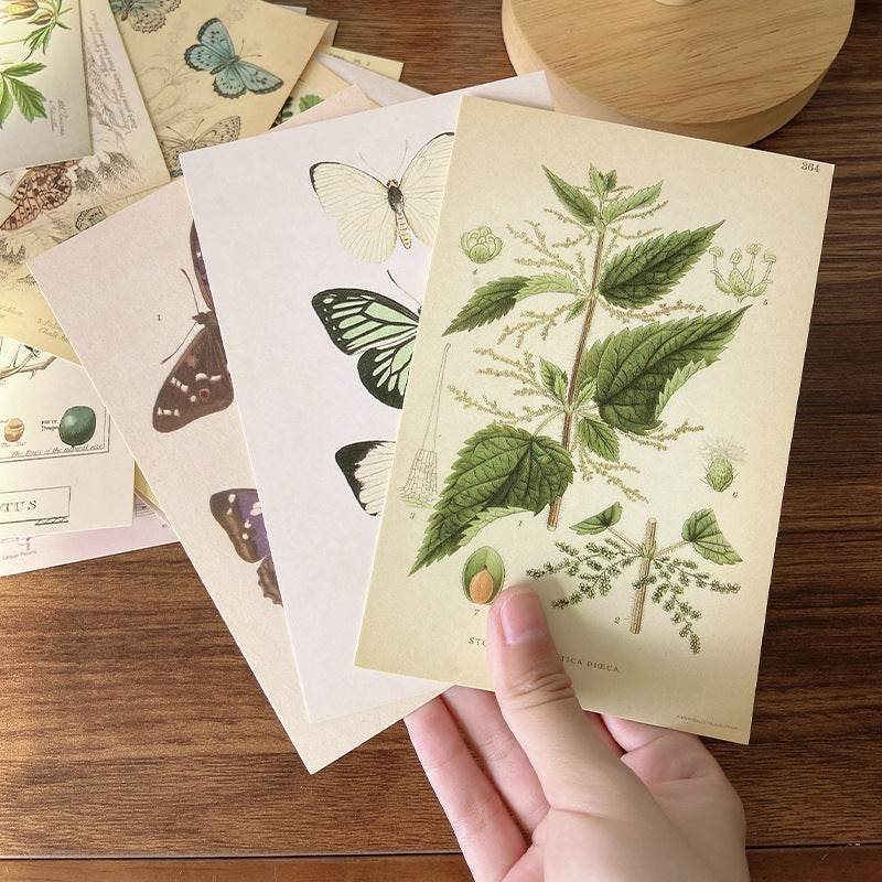 Forest Plant Wall Stickers - Stuff Hunt