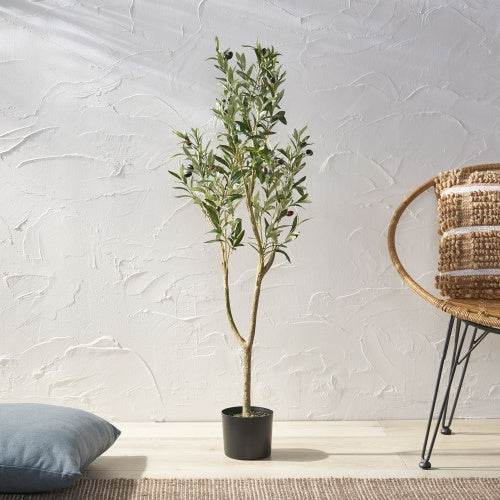 Olive Curve - Stuff Hunt
