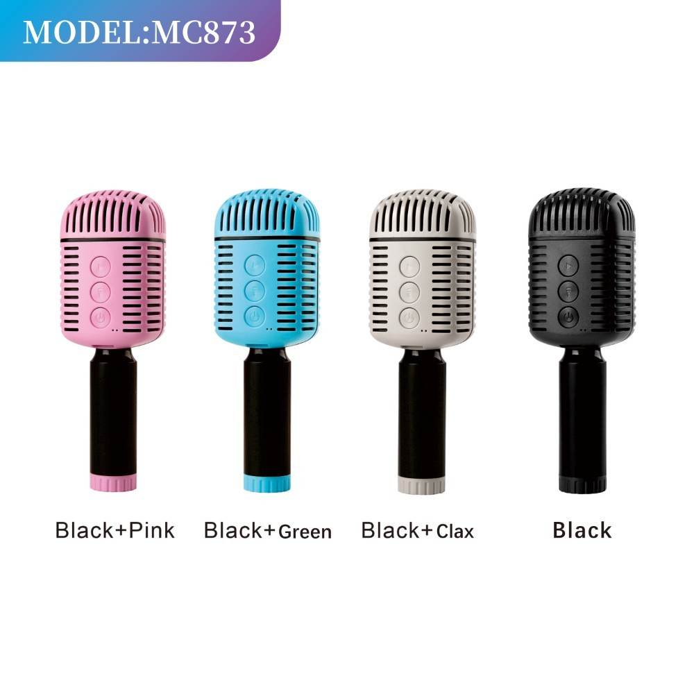 Karaoke Microphone Speaker - Stuff Hunt