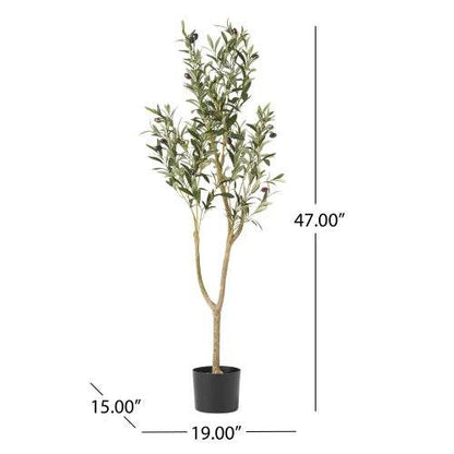 Olive Curve - Stuff Hunt