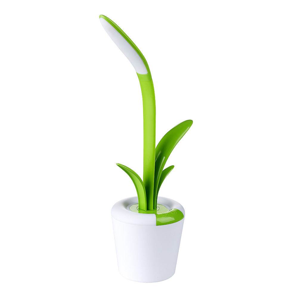 Clivia Table Lamp - Stuff Hunt