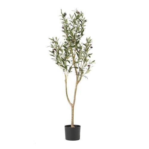 Olive Curve - Stuff Hunt