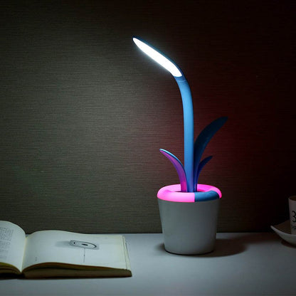 Clivia Table Lamp - Stuff Hunt