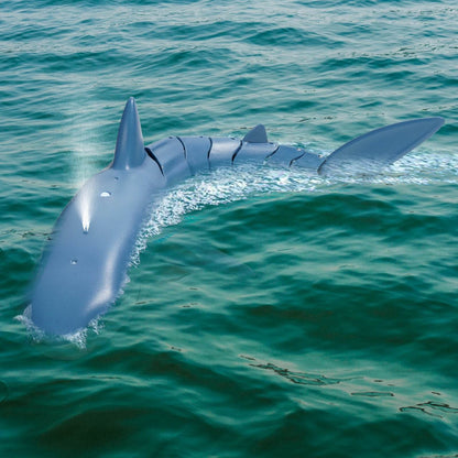 Remote Control Shark Toy - Stuff Hunt