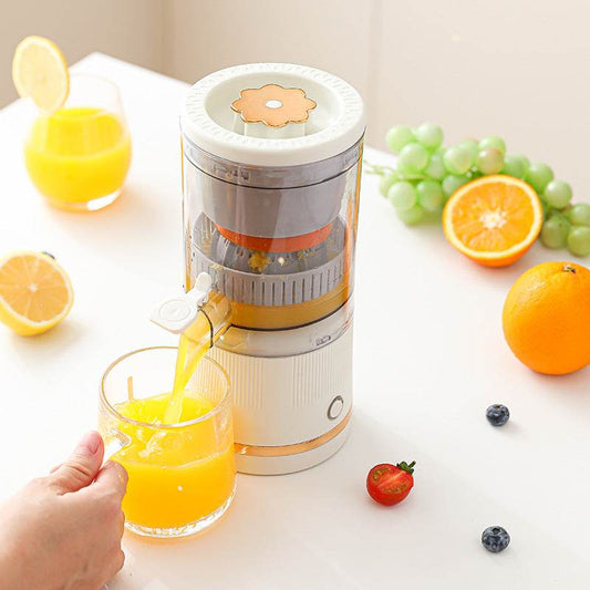 Multi-function Household Juicer - Stuff Hunt
