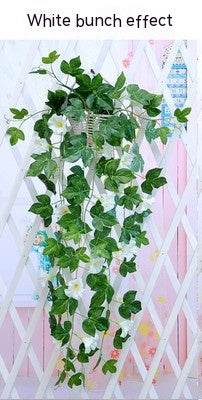 Morning Glory Simulation Plant - Stuff Hunt