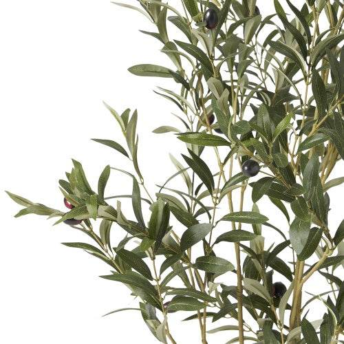 Olive Curve - Stuff Hunt