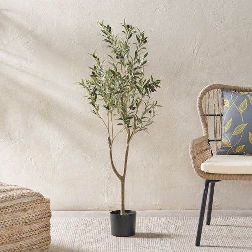 Olive Curve - Stuff Hunt